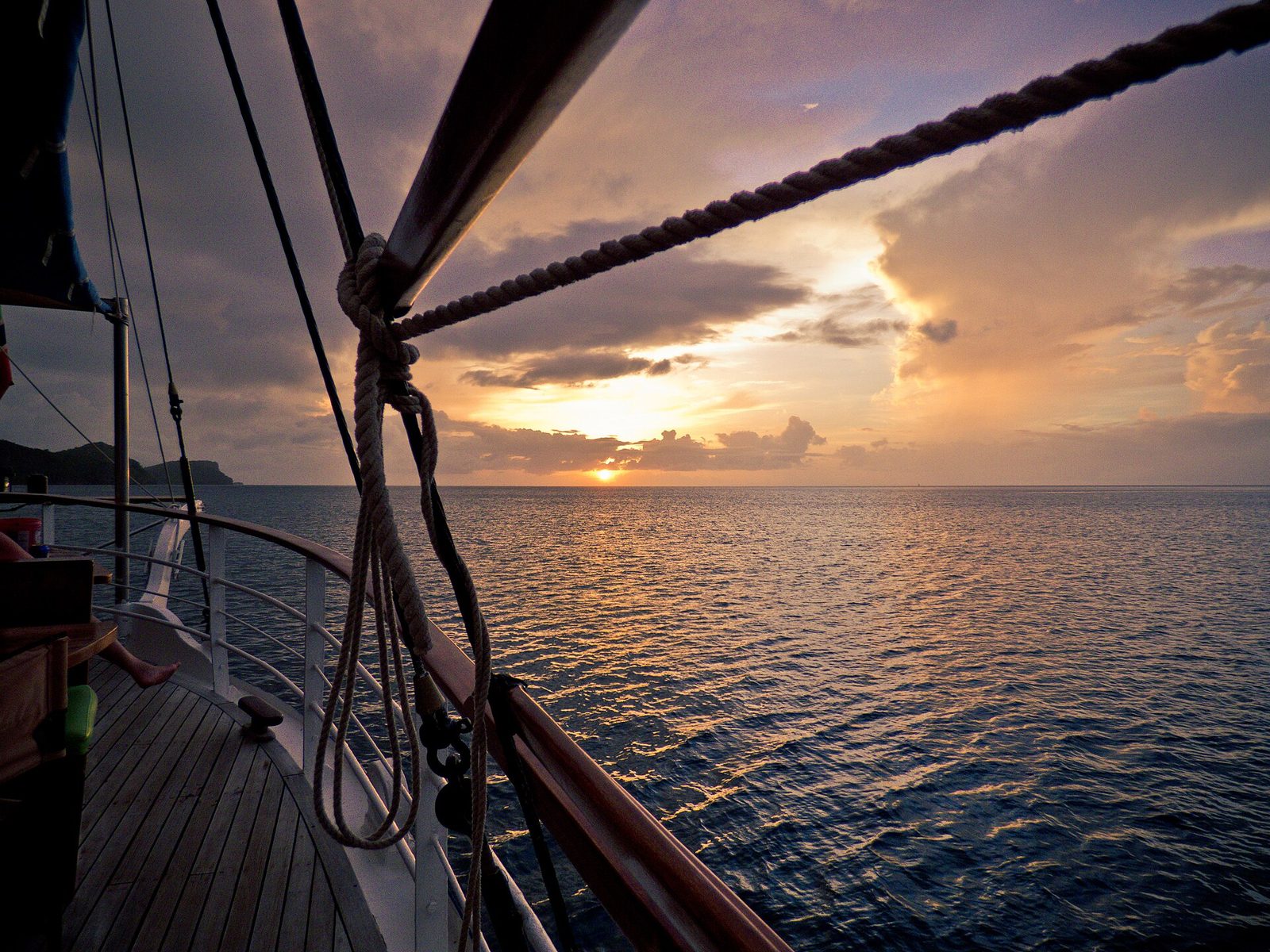 Cruises
