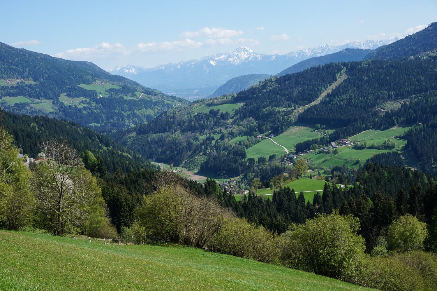 Europe