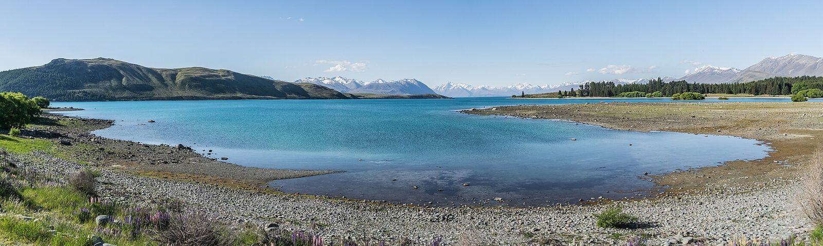 New Zealand South Island 10D9N — Day 3–4 — Lake Tekapo · Mt. Cook