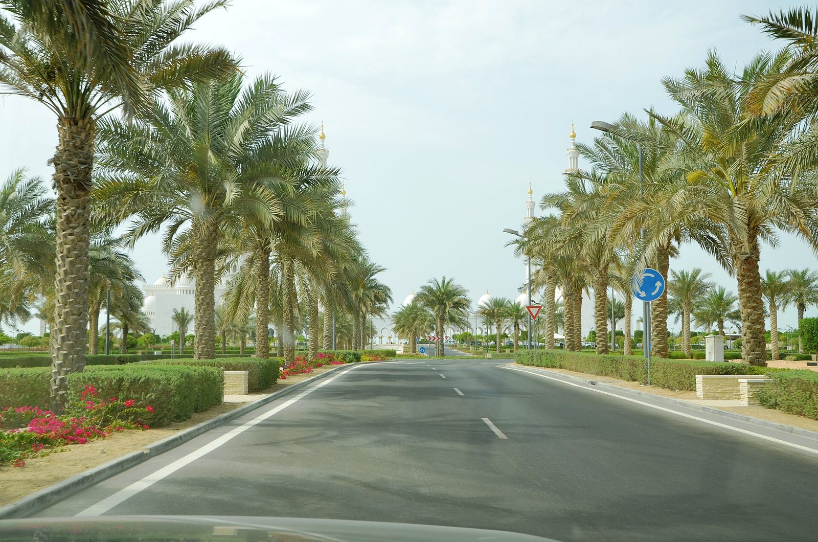 Dubai Free & Easy 6D5N — Day 3 — Desert safari with BBQ dinner
