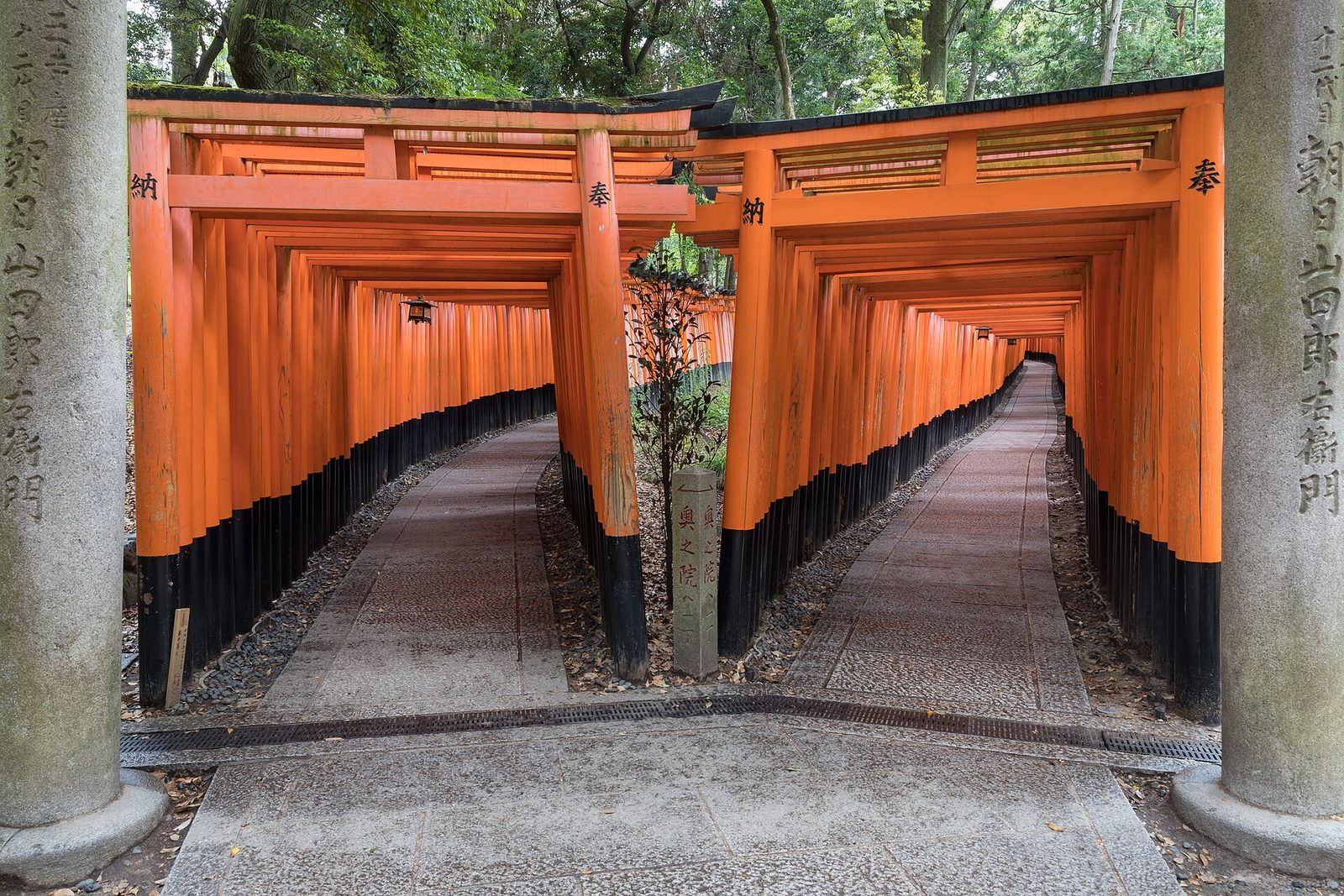 Japan Free & Easy 10D9N — Day 1 — Arrive Osaka · private transfer to hotel