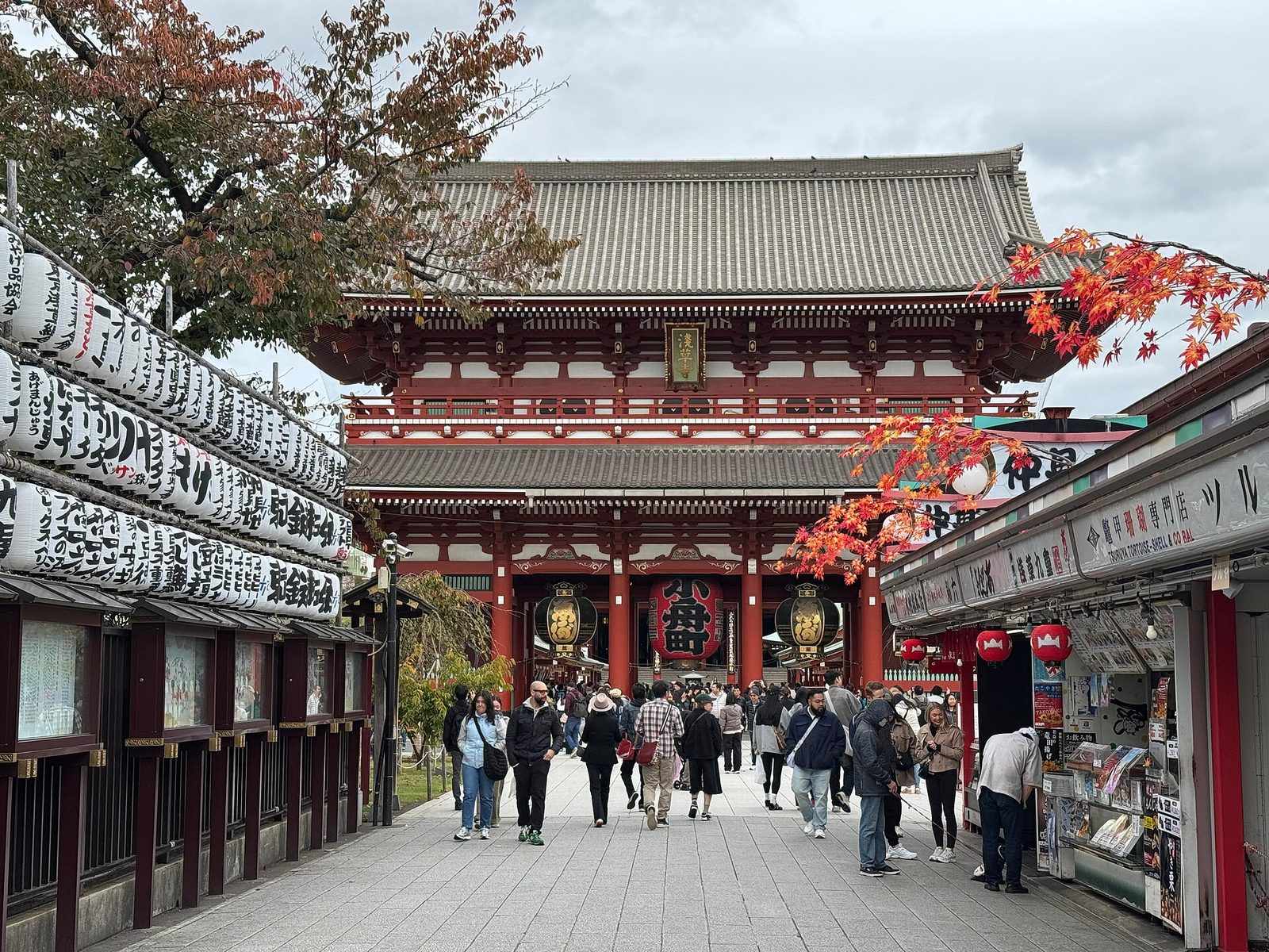 Japan Golden Route 6D5N