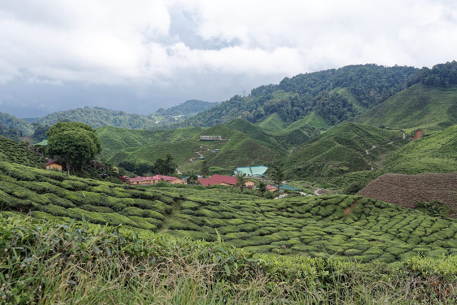Penang · Ipoh · Cameron Highlands 6D5N — Day 3 — Transfer to Ipoh · Ipoh old town cafés, Kellie's Castle, cave temples